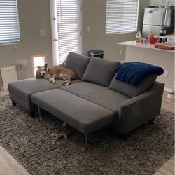 Gray Small Sized Couch + Shag Gray Carpet 