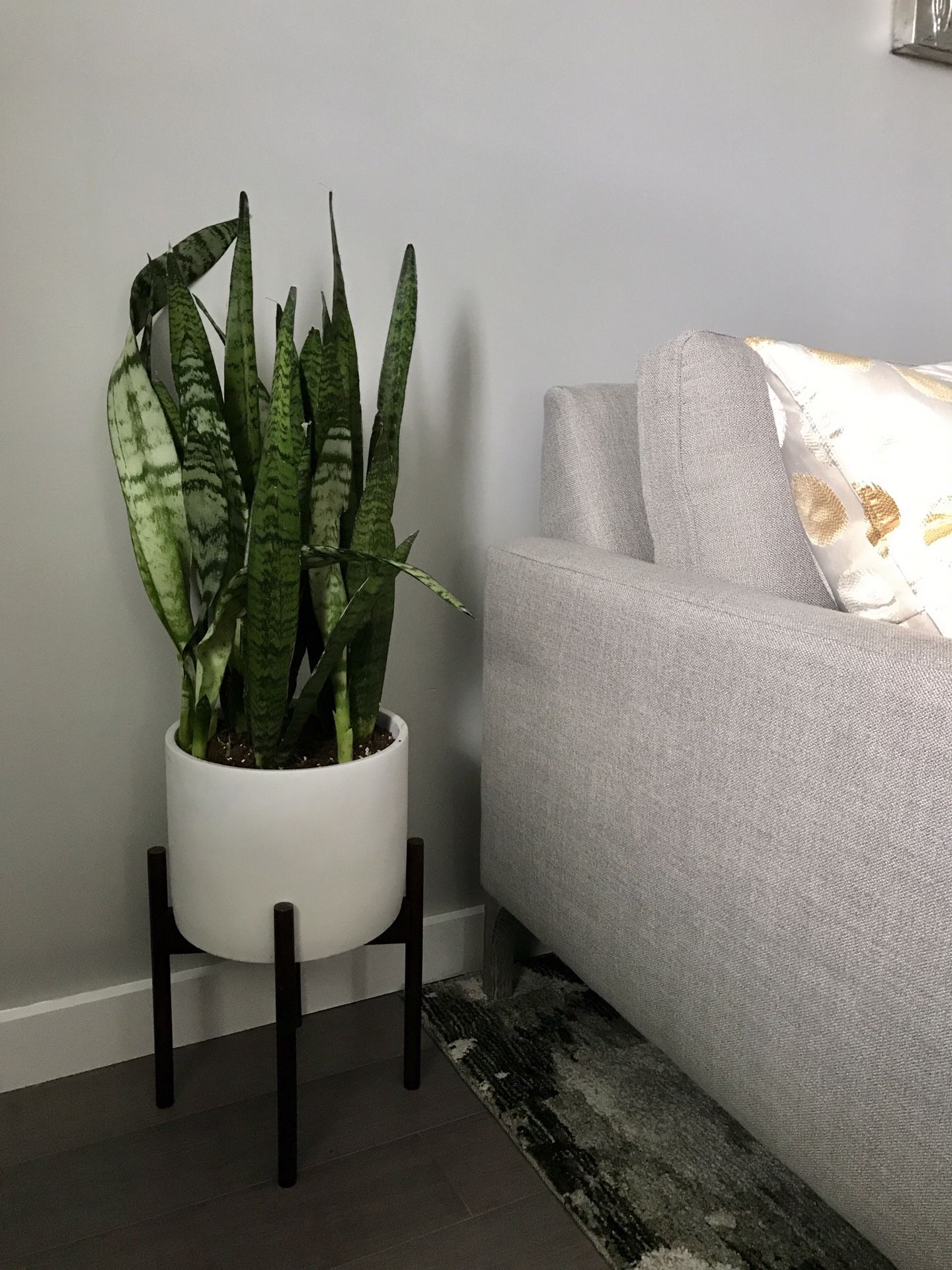 Mid-Century Modern Planter Pot with Stand