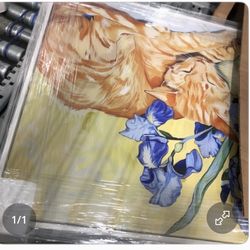 Lienzo Decorativo Con Imagen De Gatito