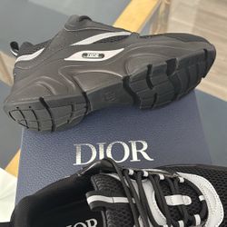 Dior B22