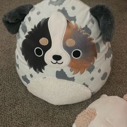 Squishmallows Large And Small
