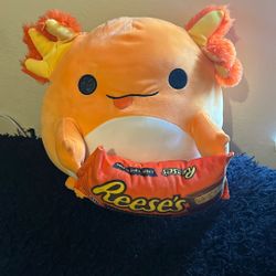 Axolotl squishmallow 