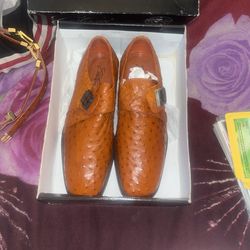 Avestruz Cognac