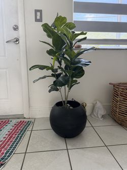 Artificial Fig Tree
