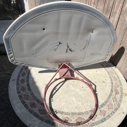 Lifetime Basketball Hoop