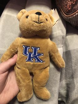 University of Kentucky Bear