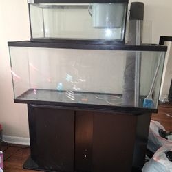 Fish Tanks 55 gallons And 20 Gallons With Stans