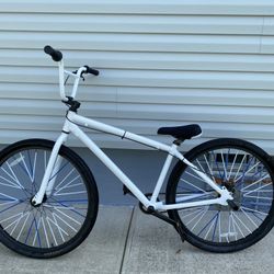 Framed 29er white 2025