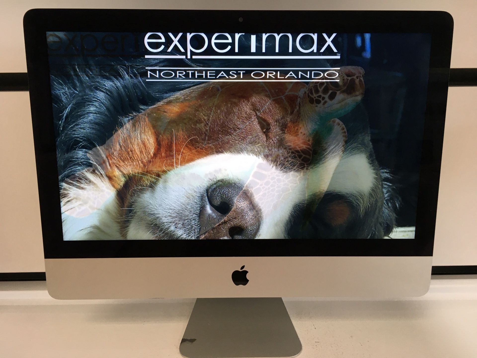 iMac 21.5”