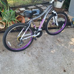 Genesis Whirlwind Women's Bike