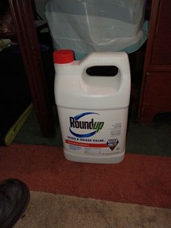 Roundup concentrate