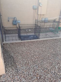 Medium Or X-Large Metal Wire Pet Dog Kennel Crates $20-$40 each Read Description See All Photos