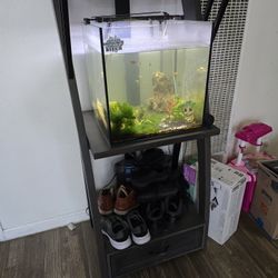 Fish Tank And Stand