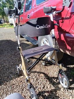 Oasis Space Stand Up Walker