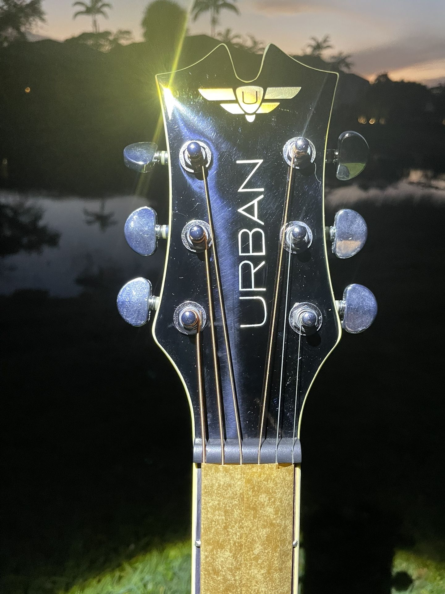 Kieth Urban Player Acoustic/ Electric Guitar /NEW with Case