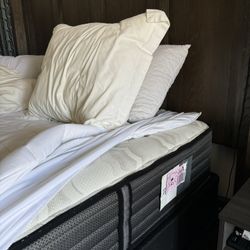 CA King Mattress Seally 