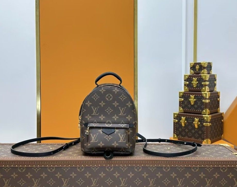LOUIS VUITTON Palm Springs Backpack for Women, Brown 22 x 10 x 17 cm