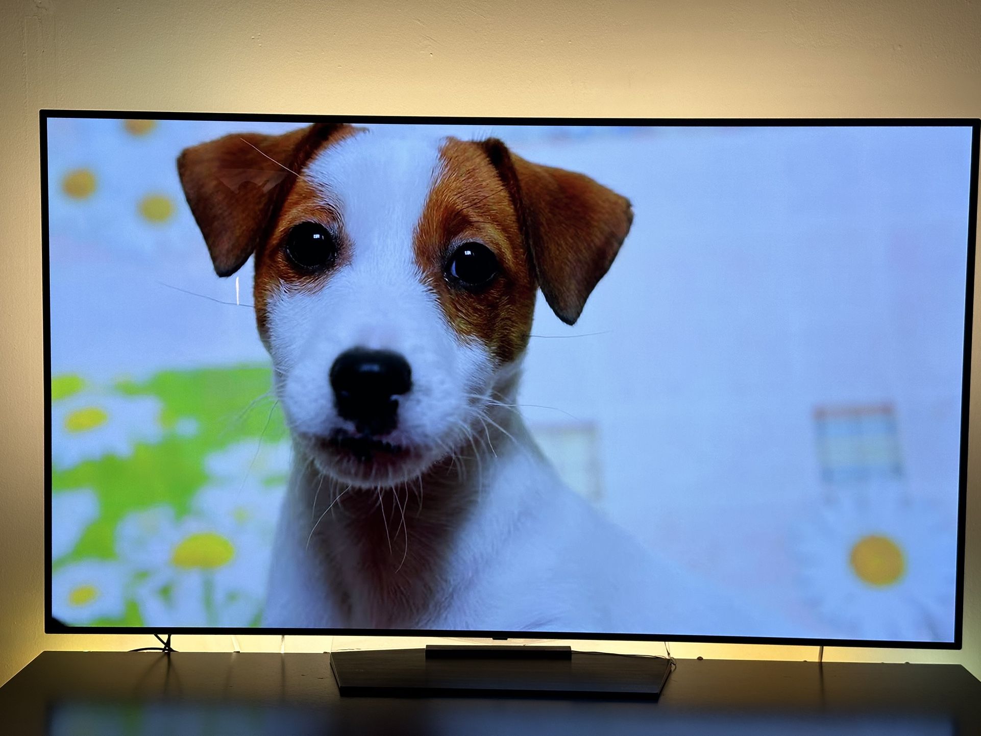 Premium LG B7 65” OLED 4K TV w/ Remote