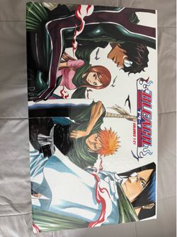 Bleach box set 1