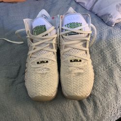 LeBron James Basketball Shoes 