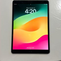 iPad Pro  11 Inch  With Cellular 256GB