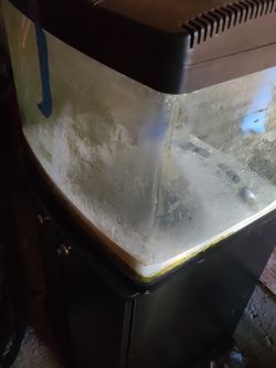 Biocube 28gallon Aquarium