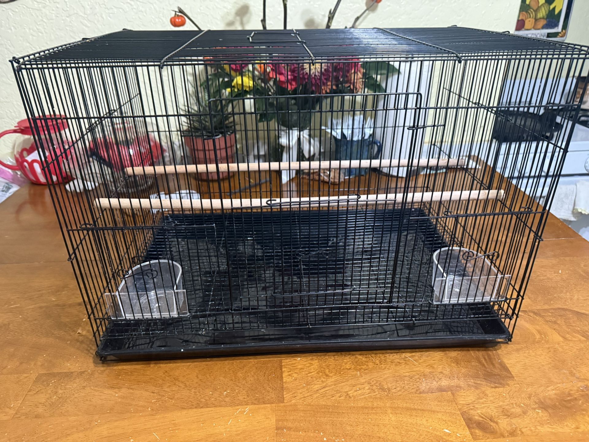 Bird Cage