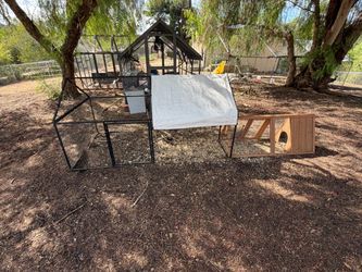 Quail coop
