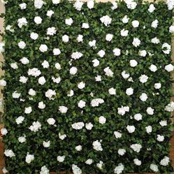 FlowerWall Back Drop 