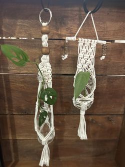 MINI Macrame With Glass Bottle, Free Plant Cutting