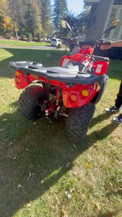 Kayo Bull 200 red
