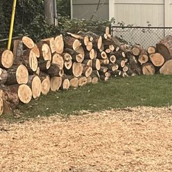 Firewood 