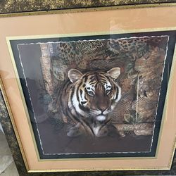 Framed pictures and mirrors