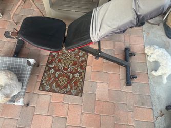 Free work out bench