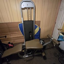 Leg Curl /leg Extension Combo