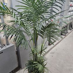 Large Artificial/ Plastic Palm Tree