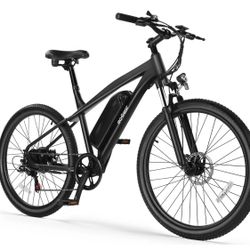Metakoo Electric Bike