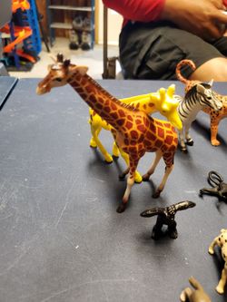 Animalitos de la Selva