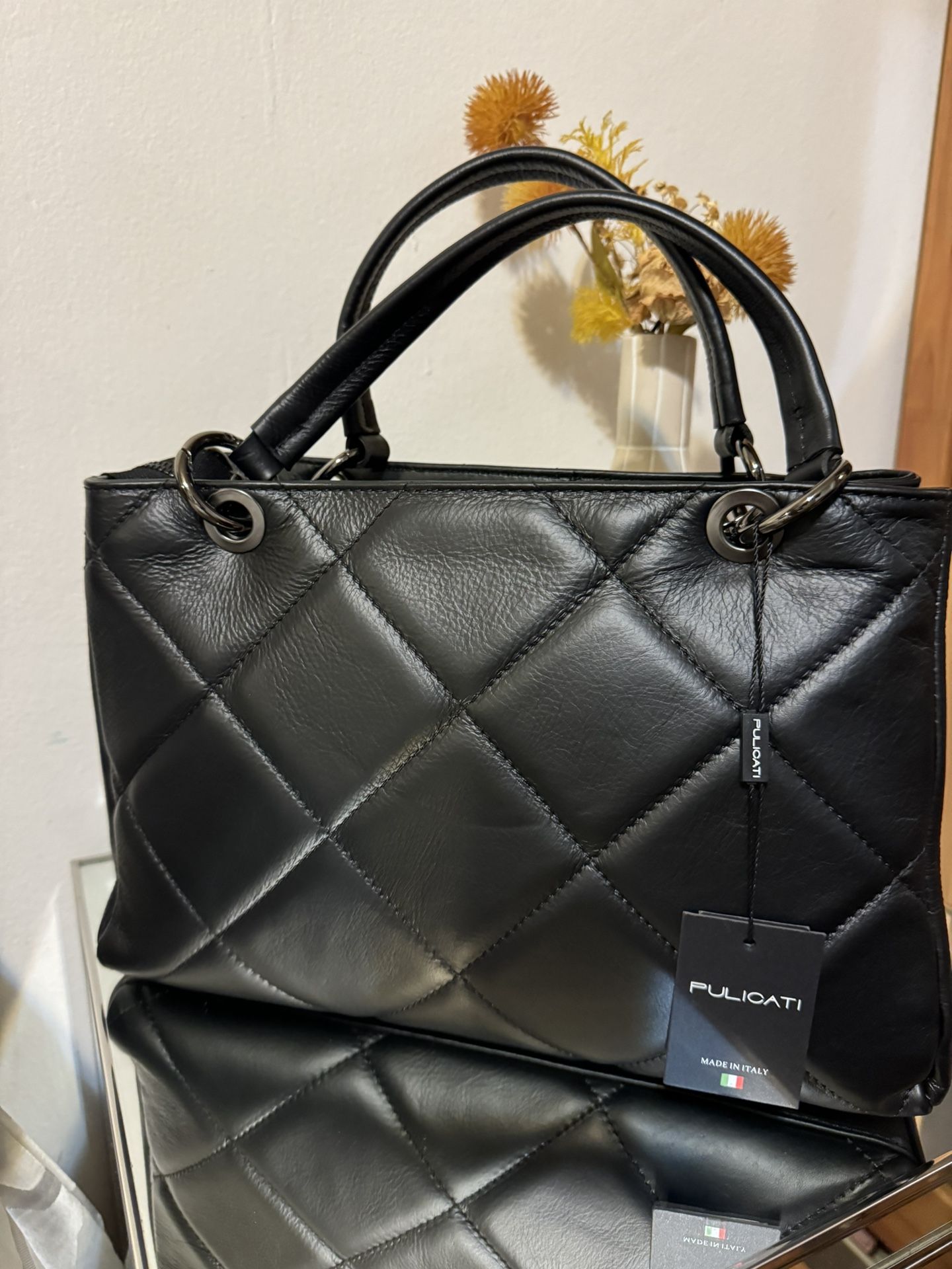 Pulícate Purse  Shoes