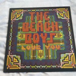 The Beach Boys Love You LP Vinyl Record NM NM first press