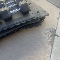 Rubber Flooring, Dumbbell, Coated Weights, And Rack.