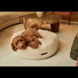 brand new - Unhide brand Floof Donut Pet Bed. Perfect condition never used. Size M/.   Our new orthopedic Floof Pet Bed is made with UnHide’s unbeliev