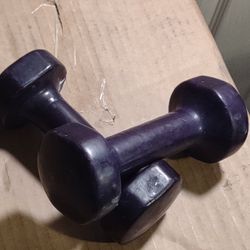 Set Of Two Dark Purple 5 Lb Dumbbell Weights