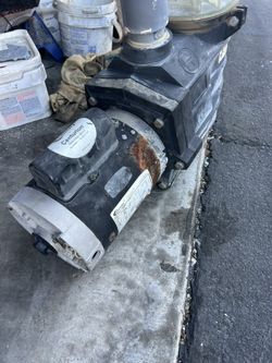 Pool Motor