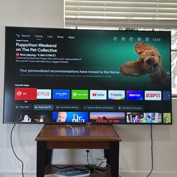 Sony 65” 4K Smart TV (BRAVIA) – Great Condition