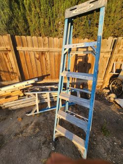 6"   werner    step ladder