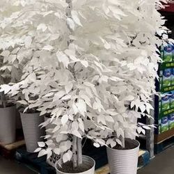 White tree