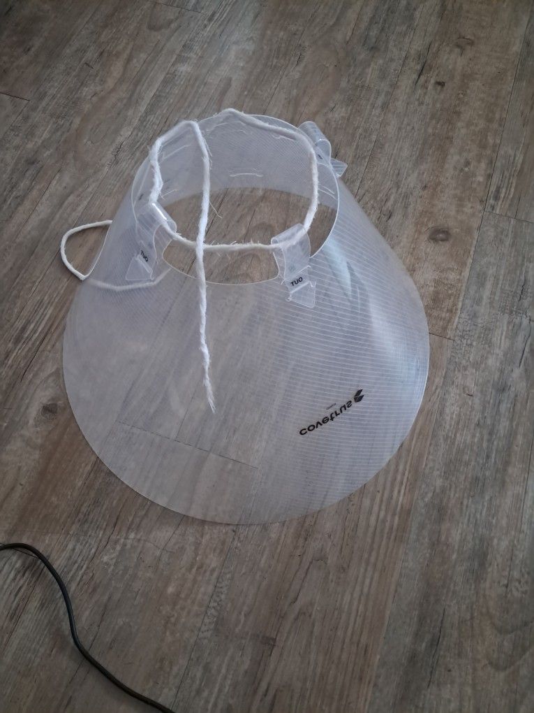 DOG CONE