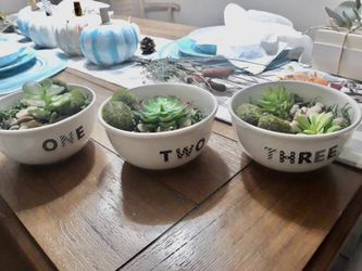 Succulent one two three bowl arrangement