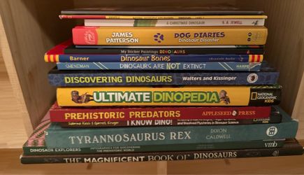 Kids dinosaur book bundle set